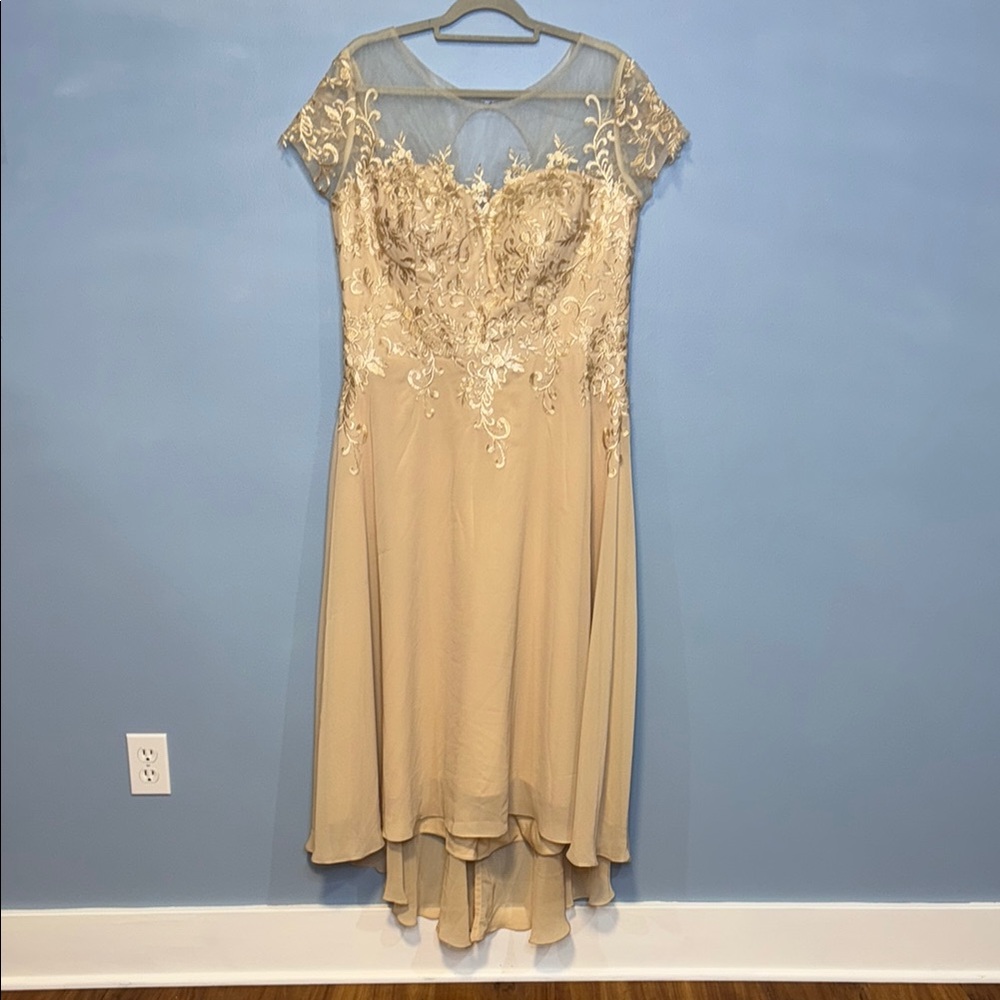 Taupe Sequin High Low Dress with Flutter Cap Sleeves Size 18W - Picture 2 of 14